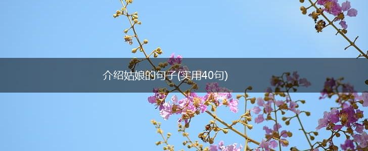 介绍姑娘的句子(实用40句),第1张