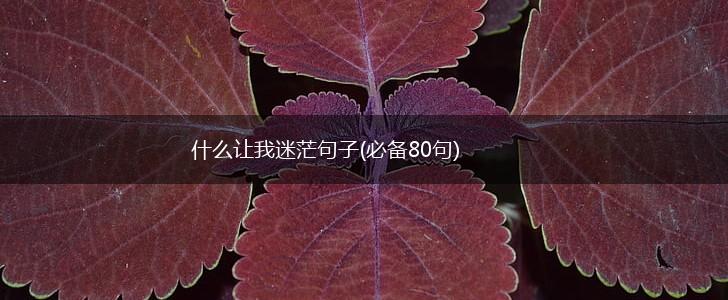 什么让我迷茫句子(必备80句),第1张