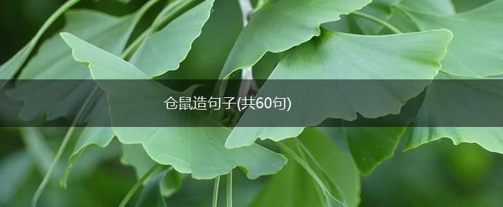 仓鼠造句子(共60句),第1张