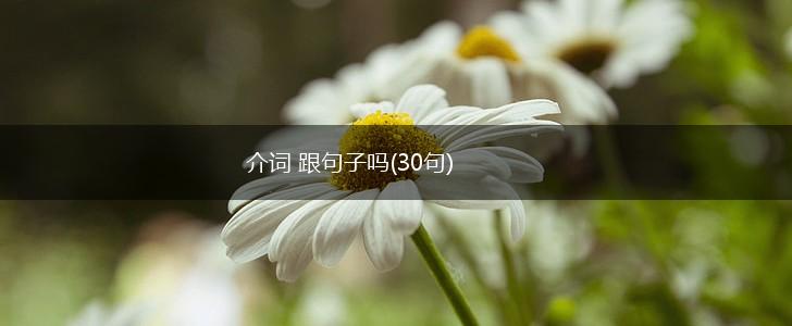 介词 跟句子吗(30句),第1张