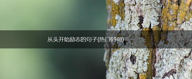 从头开始励志的句子(热门69句),第1张