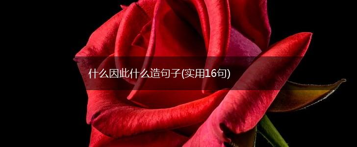 什么因此什么造句子(实用16句),第1张