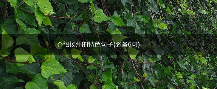 介绍扬州的特色句子(必备6句),第1张