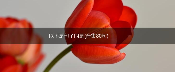 以下是句子的是(合集80句),第1张