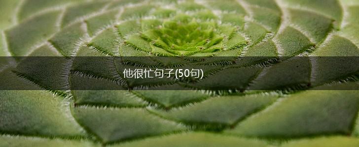 他很忙句子(50句),第1张