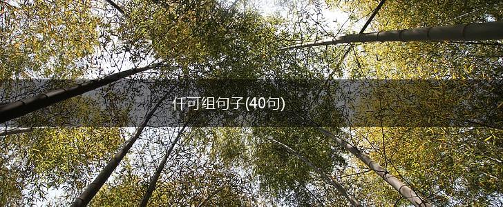仟可组句子(40句),第1张