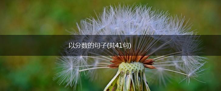 以分数的句子(共41句),第1张