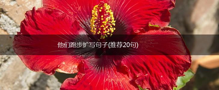 他们跑步扩写句子(推荐20句),第1张