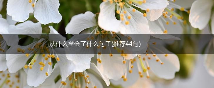从什么学会了什么句子(推荐44句),第1张