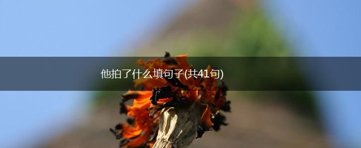 他拍了什么填句子(共41句),第1张