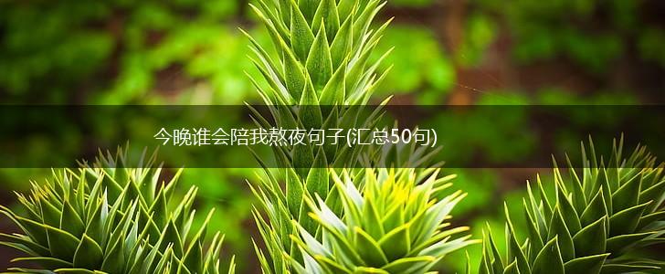 今晚谁会陪我熬夜句子(汇总50句),第1张