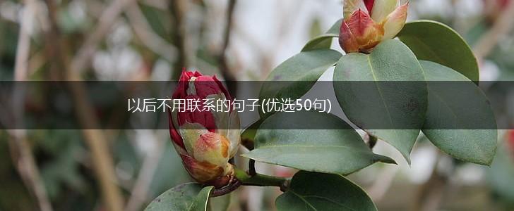 以后不用联系的句子(优选50句),第1张