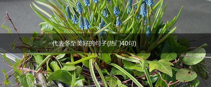 代表冬至美好的句子(热门40句),第1张