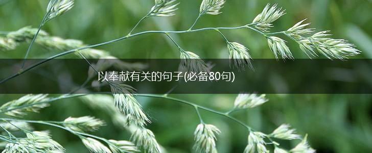 以奉献有关的句子(必备80句),第1张