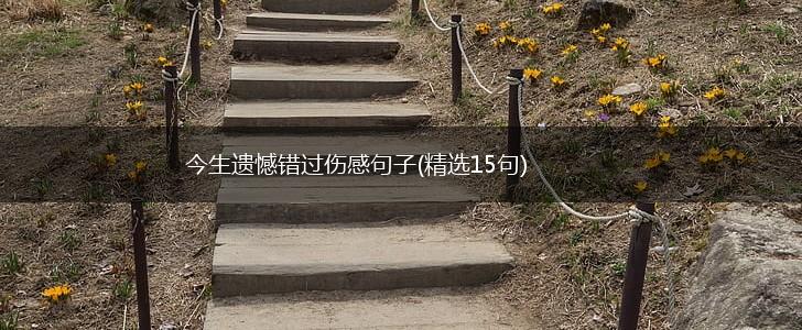 今生遗憾错过伤感句子(精选15句),第1张
