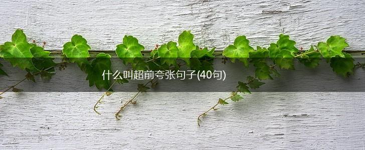 什么叫超前夸张句子(40句),第1张