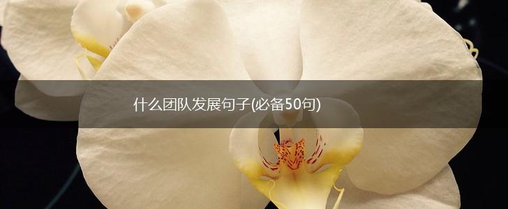 什么团队发展句子(必备50句),第1张