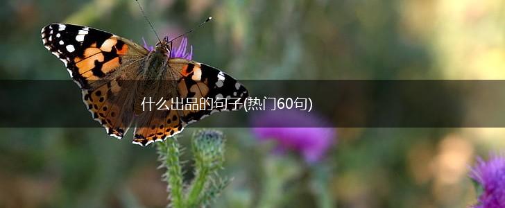 什么出品的句子(热门60句),第1张