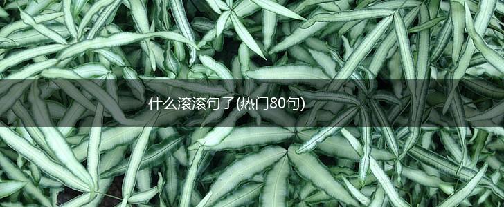 什么滚滚句子(热门80句),第1张