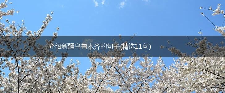 介绍新疆乌鲁木齐的句子(精选11句),第1张