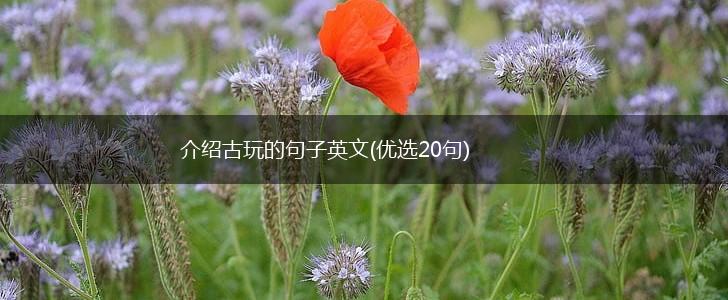 介绍古玩的句子英文(优选20句),第1张