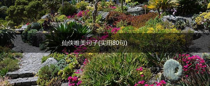 仙侠唯美句子(实用80句),第1张