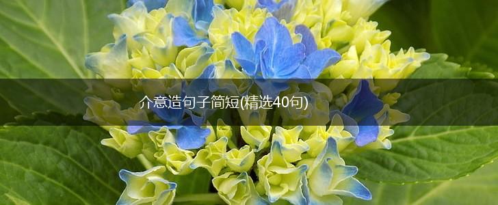 介意造句子简短(精选40句),第1张