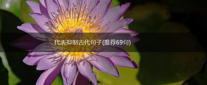 代表抑制古代句子(推荐69句),第1张