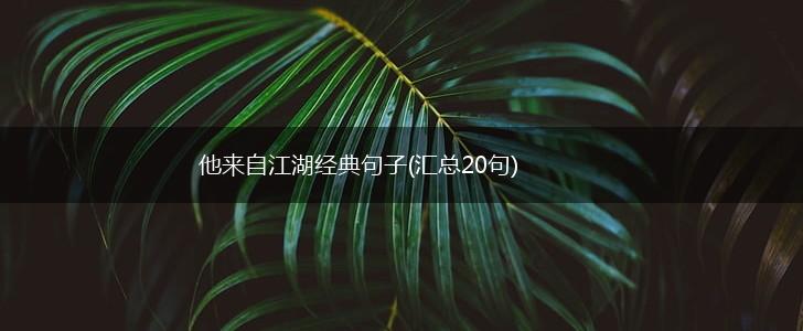 他来自江湖经典句子(汇总20句),第1张