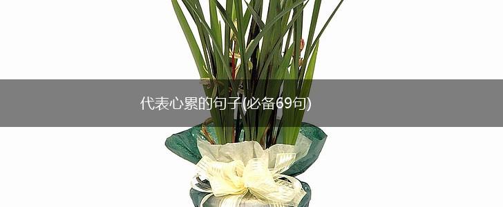 代表心累的句子(必备69句),第1张