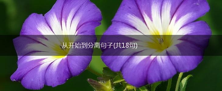 从开始到分离句子(共18句),第1张