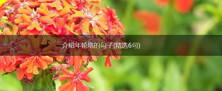 介绍年轮塔的句子(精选6句),第1张