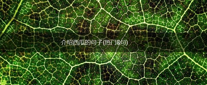 介绍西瓜的句子(热门8句),第1张