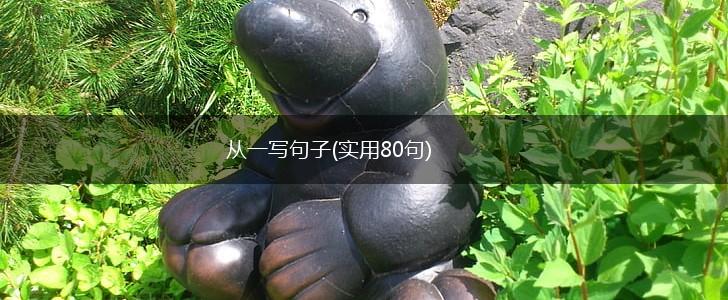 从一写句子(实用80句),第1张