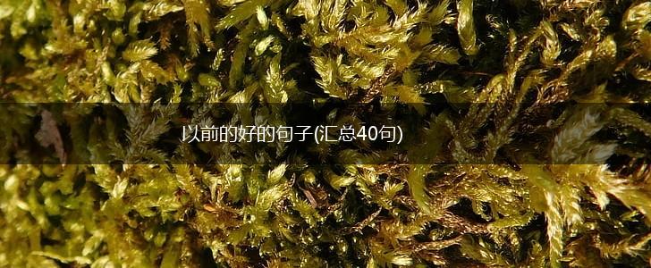 以前的好的句子(汇总40句),第1张