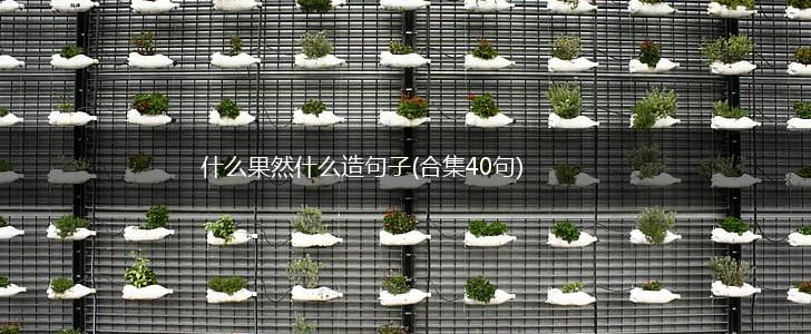 什么果然什么造句子(合集40句),第1张