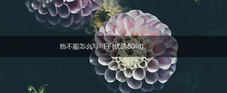 他不服怎么写句子(优选80句),第1张