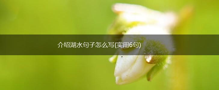 介绍湖水句子怎么写(实用6句),第1张