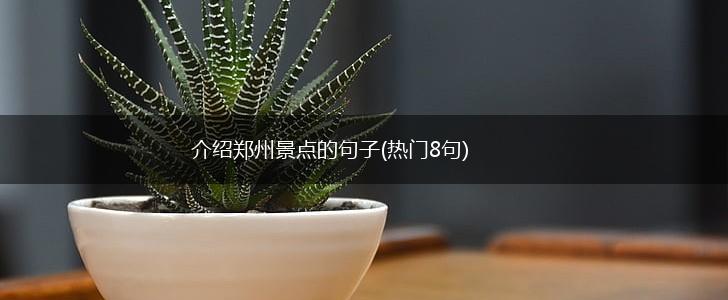 介绍郑州景点的句子(热门8句),第1张