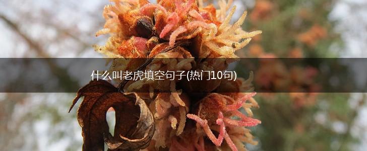什么叫老虎填空句子(热门10句),第1张