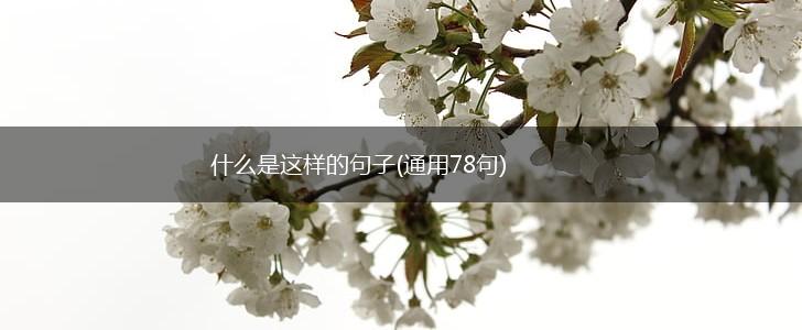 什么是这样的句子(通用78句),第1张