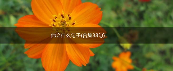 他会什么句子(合集38句),第1张