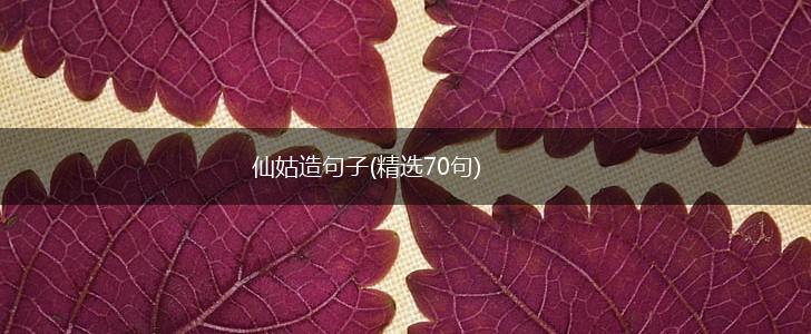 仙姑造句子(精选70句),第1张