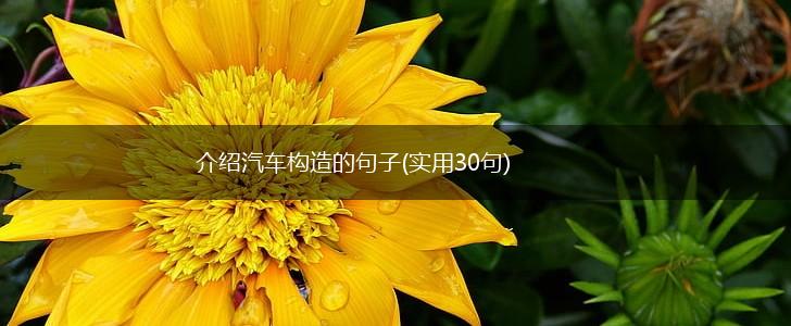 介绍汽车构造的句子(实用30句),第1张