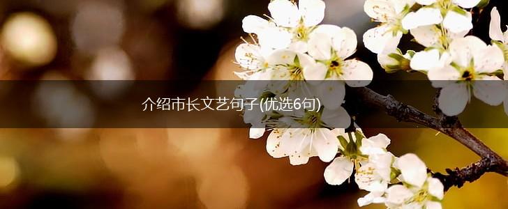 介绍市长文艺句子(优选6句),第1张