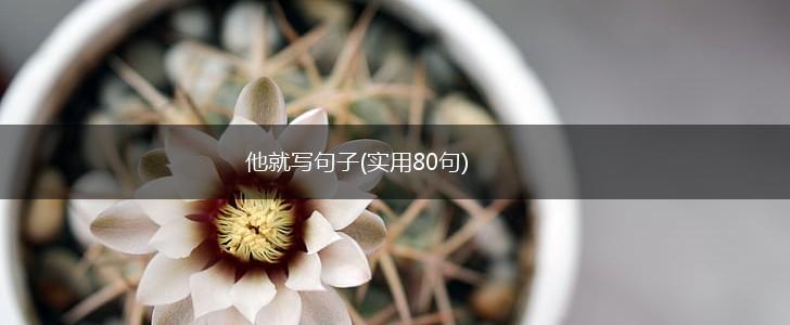 他就写句子(实用80句),第1张