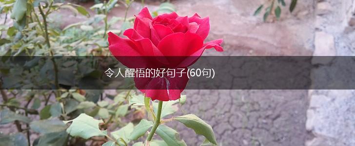 令人醒悟的好句子(60句),第1张