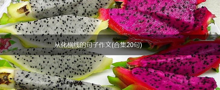从化横线的句子作文(合集20句),第1张