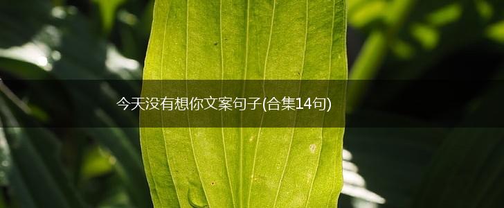 今天没有想你文案句子(合集14句),第1张