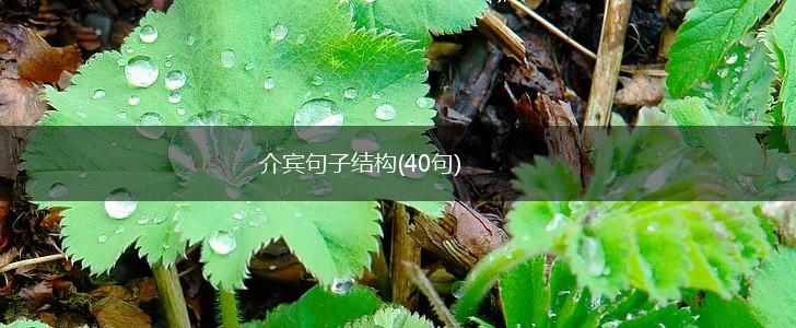 介宾句子结构(40句),第1张